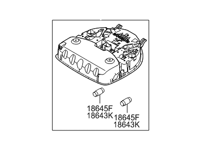 Hyundai 92800-2W000-OM Overhead Console Lamp Assembly