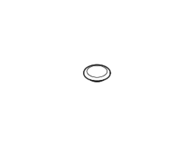 Hyundai 83191-B1000 Plug-Hole