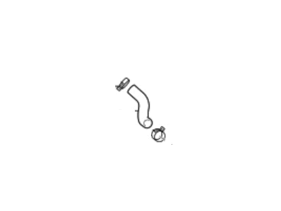 Hyundai 25450-D2100 Hose Assembly-Water