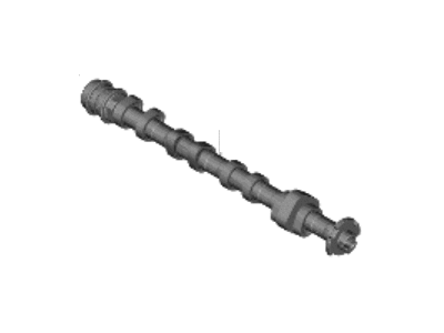 Kia 242102M811 Camshaft-Exhaust
