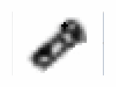 Hyundai 81699-A5000 Sled Assembly-Rear, RH