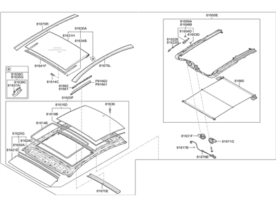 Hyundai 81600-C1010-PPB Panorama Roof Assembly
