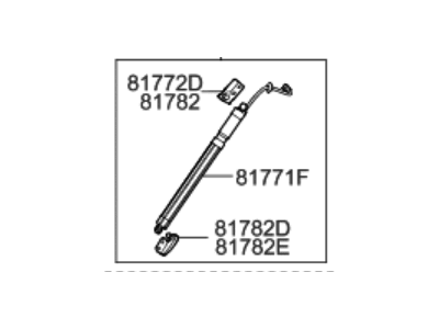 Hyundai 81770-B8100 Gate Assembly-Power Tail, LH