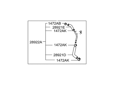 Kia 289312G710 Pipe & Hose Assembly PURGE