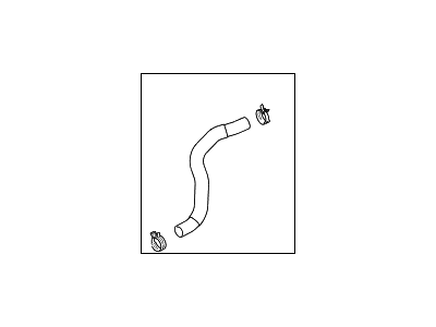 Hyundai 25415-B1100 Hose Assembly-Radaator, Lower