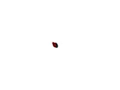 Acura 74908-STX-A00 Gasket, Seal