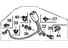 Honda 04816-TK6-A01ZA