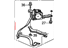 Honda 04827-TK6-A01ZA
