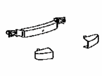 Lexus 74610-30290-B1 Grip Assembly, Assist