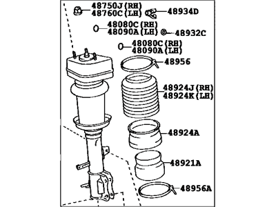 Lexus 48080-48031 Cylinder Assy, Pneumatic, Rear RH W/Shock Absorber