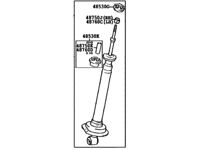 Lexus 48530-80161 ABSORBER Assembly,Shock