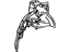 Lexus 61608-50918