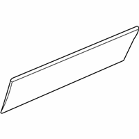 Genuine Cadillac Molding,Front Side Door Lower - 88980895