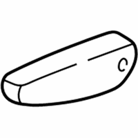Genuine Ford Door Armrest