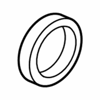 Genuine Ford Differential Bearing Race