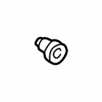 Genuine Ford Ignition Lock Key