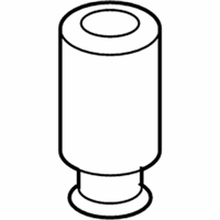 Genuine Ford Air Suspension Spring