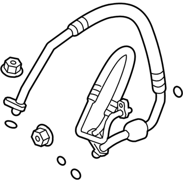 GM 95319206 Suction Hose