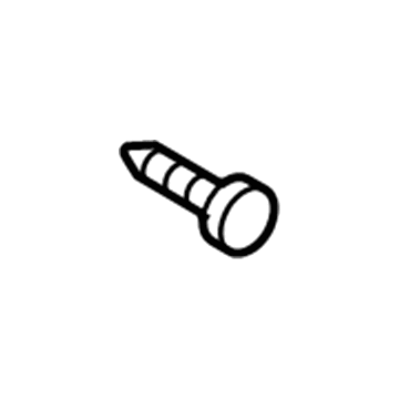 GM 94520329 Shelf Extension Screw