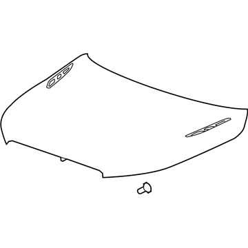 GM 20794194 Hood