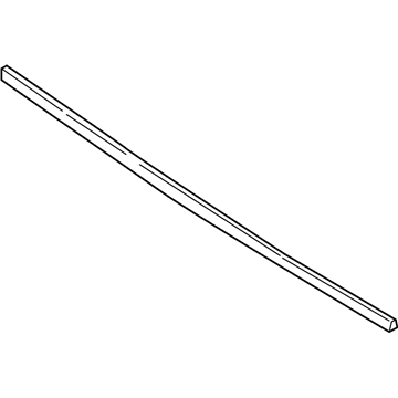 GM 30022345 Molding, Rear Door Garnish