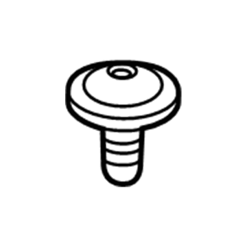 GM 11570773 Center Panel Screw