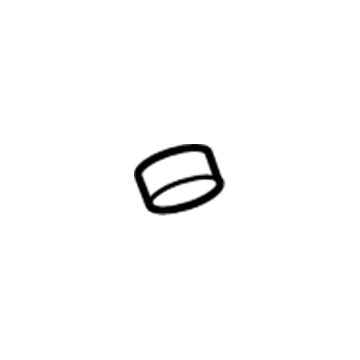 GM 25706593 Drain Hose Grommet