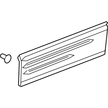 GM 89046251 Molding Asm, Front Side Door Lower (LH) *Primed