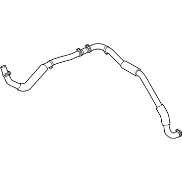 GM 95990102 Reservoir Hose