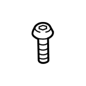 Ford -W505532-S442 Outlet Tube Screw