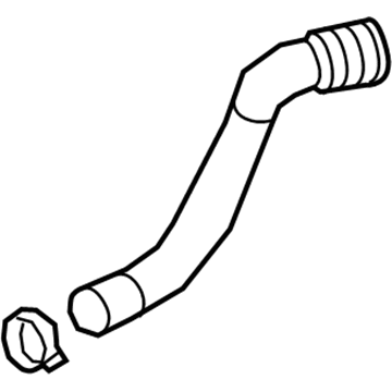 GM 84129277 Lower Hose