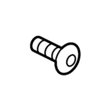 GM 11569991 Damper Screw