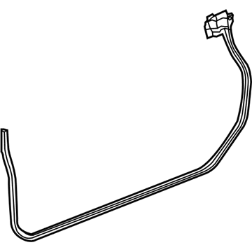 GM 23443732 Door Weatherstrip