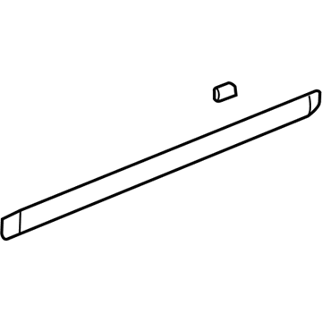 GM 22763944 Side Molding