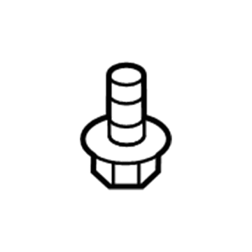 Ford -W700005-S437 Shield Screw