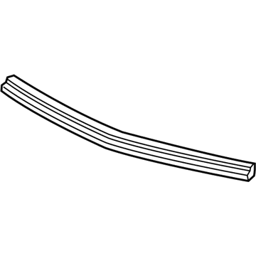 GM 42505067 Front Weatherstrip