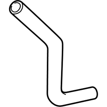 Honda 19502-PLC-000 Hose, Water (Lower)