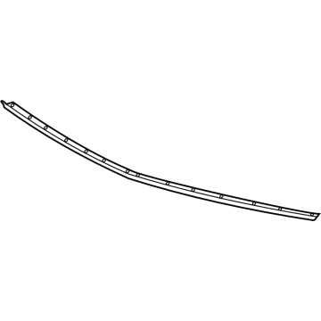 GM 84618020 Front Weatherstrip