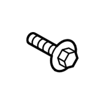 Ford -W505253-S450L Amplifier Screw