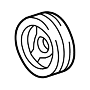 GM 19300488 Vibration Damper