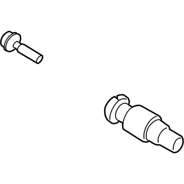 BMW 36-14-6-792-828 Screw-In Valve, Rdc