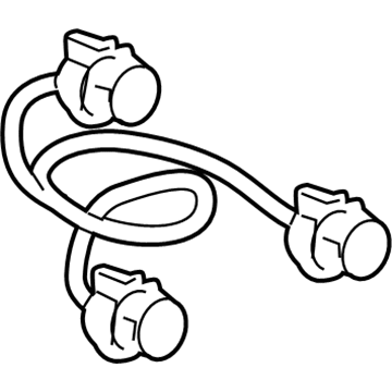 GM 22862122 Socket & Wire