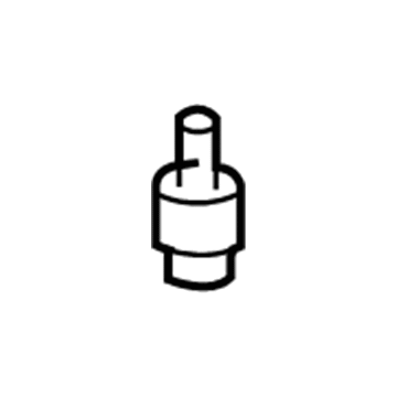 GM 10245619 AC Tube Valve