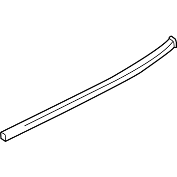 GM 42664811 Belt Molding