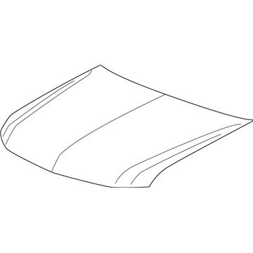 GM 84167164 Hood