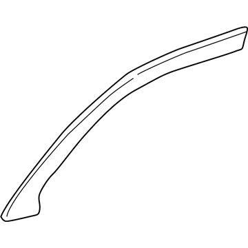 Ford F8VZ-5420847-AA Window Molding