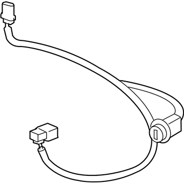 GM 15789983 Socket & Wire