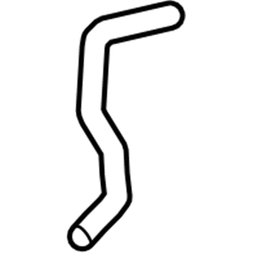 Ford F2GZ-8C289-D Reservoir Hose