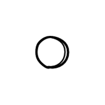 GM 90588171 Back Glass Stop