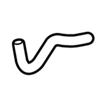 Honda 19502-PZA-000 Hose, Water (Lower) (A)